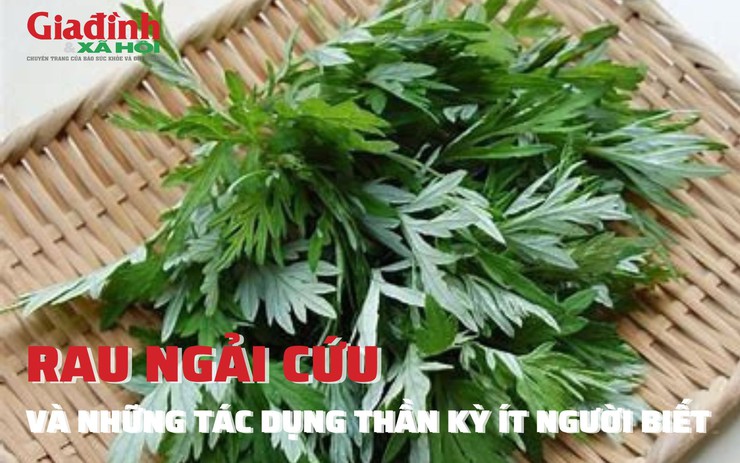 Rau ngải cứu và những tác dụng thần kỳ ít người biết