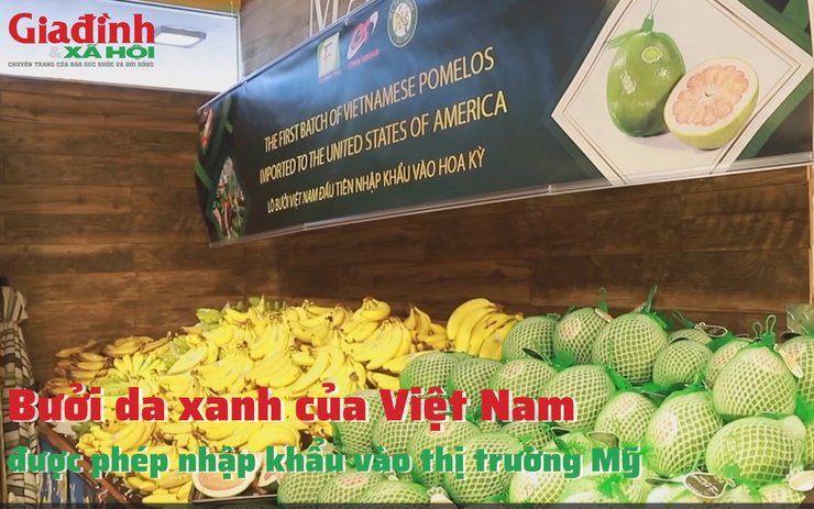 Bưởi da xanh của Việt Nam được phép nhập khẩu vào thị trường Mỹ