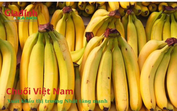 Chuối Việt Nam đang khiến người Nhật mê mẩn thu về hơn 7 triệu USD