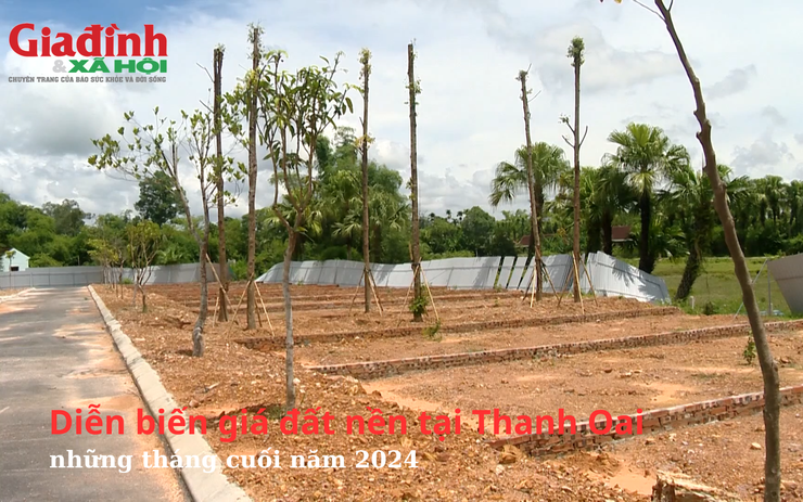 Diễn biến giá đất nền tại Thanh Oai, Hà Nội những tháng cuối năm 2024 