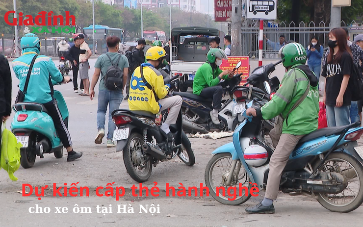 Dự kiến cấp thẻ hành nghề cho xe ôm tại Hà Nội