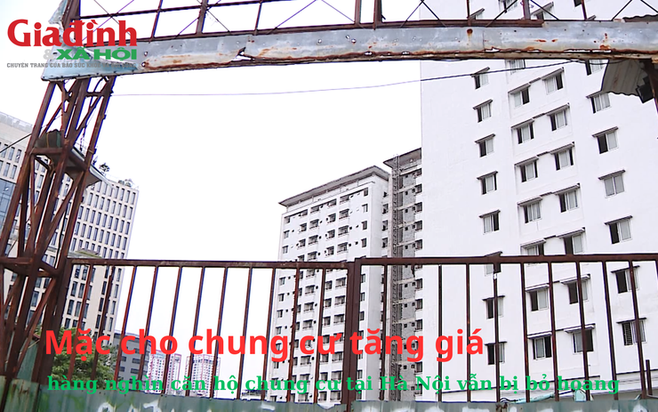 Mặc cho chung cư tăng giá hàng ngày, hàng nghìn căn hộ chung cư tại Hà Nội vẫn bị bỏ hoang