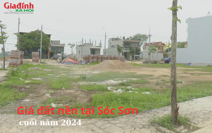 Diễn biến giá đất nền tại Sóc Sơn, Hà Nội cuối năm 2024
