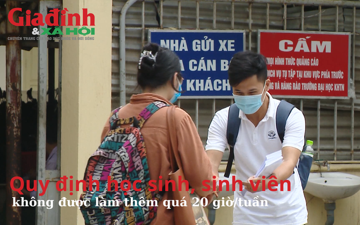 Quy định học sinh, sinh viên không được làm thêm quá 20 giờ/tuần