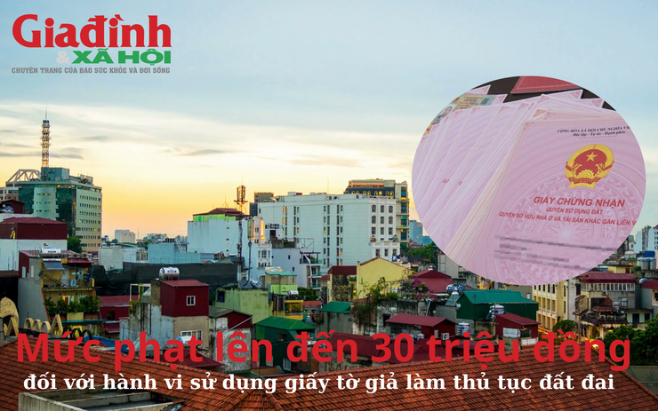 Mức phạt lên đến 30 triệu đồng đối với hành vi sử dụng giấy tờ giả làm thủ tục đất đai 