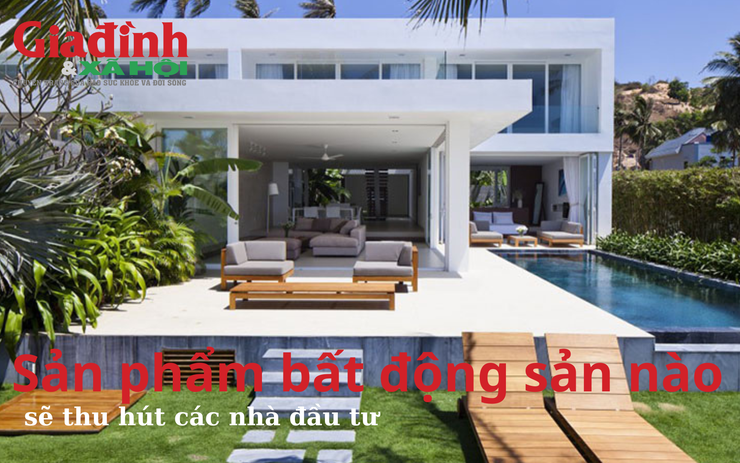 Sau chung cư, đất thổ cư, biệt thự, liền kề sản phẩm bất động sản nào sẽ thu hút các nhà đầu tư