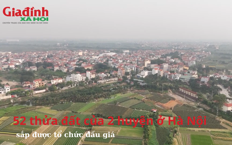 52 thửa đất của 2 huyện ở Hà Nội sắp được tổ chức đấu giá, mức giá thấp nhất 27 triệu đồng/m2