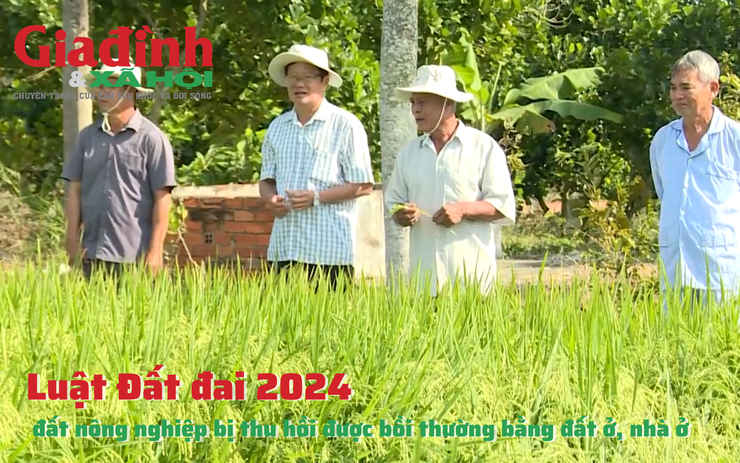 Luật Đất đai 2024: đất nông nghiệp bị thu hồi có thể được bồi thường bằng đất ở, nhà ở