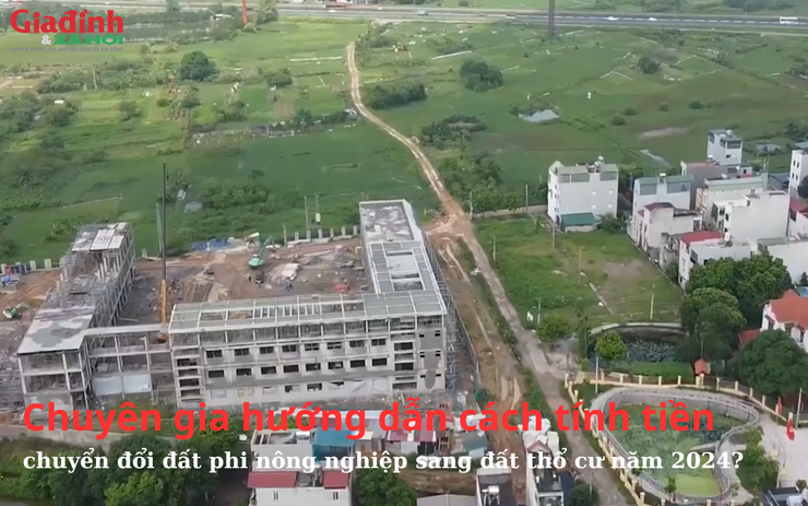 Chuyên gia hướng dẫn cách tính tiền chuyển đổi đất phi nông nghiệp sang đất thổ cư năm 2024?