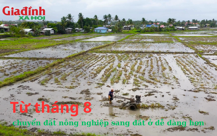 Từ tháng 8, chuyển đất nông nghiệp sang đất ở dễ dàng hơn