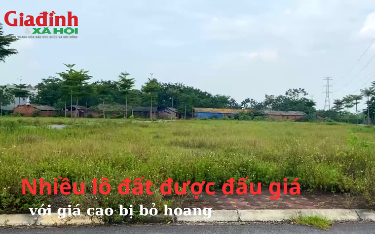 Nhiều lô đất được đấu giá với giá cao bị bỏ hoang