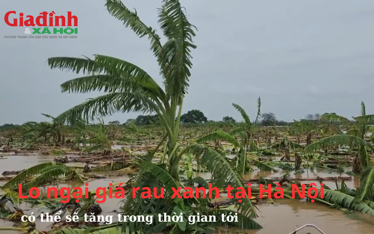 Giá rau xanh tại Hà Nội có thể sẽ tăng trong thời gian tới