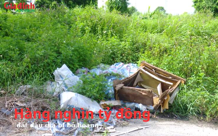 Hàng nghìn tỷ đồng đất đấu giá bị bỏ hoang