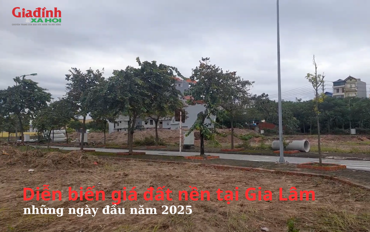 Diễn biến giá đất nền tại Gia Lâm, Hà Nội những ngày đầu năm 2025 