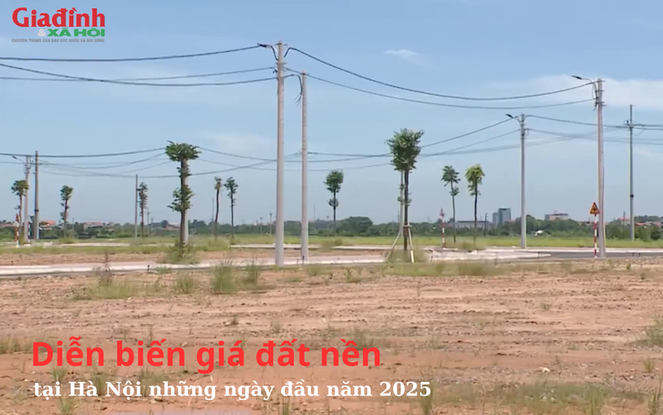 Diễn biến giá đất nền tại Hà Nội những ngày đầu năm 2025 