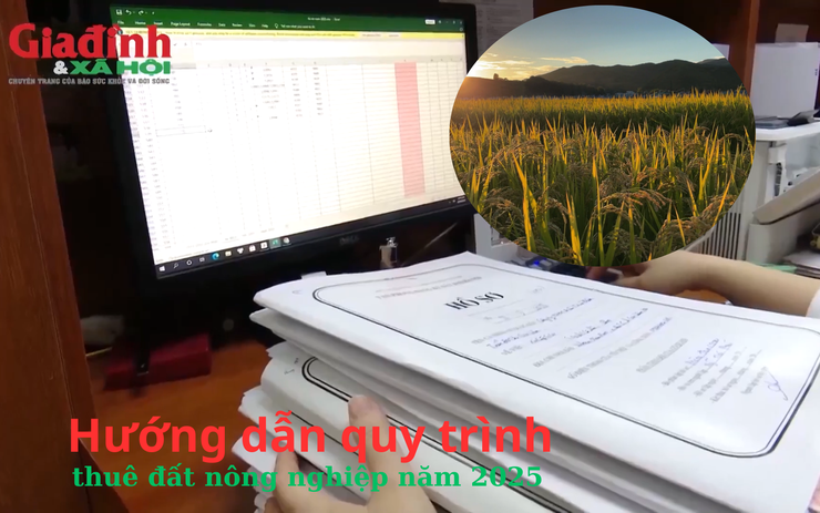 Hướng dẫn quy trình thuê đất nông nghiệp năm 2025