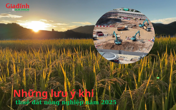Những lưu ý khi thuê đất nông nghiệp năm 2025