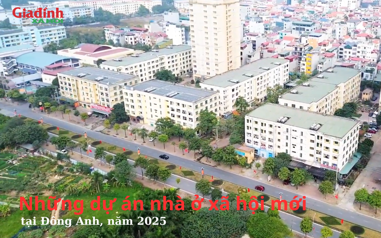 Những dự án nhà ở xã hội mới tại huyện Đông Anh năm 2025