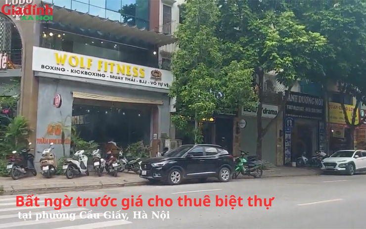 Bất ngờ trước giá cho thuê biệt thự tại phường Cầu Giấy, Hà Nội