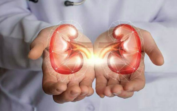 5 dấu hiệu cho thấy thận của nam giới khỏe mạnh: Bạn có bao nhiêu?