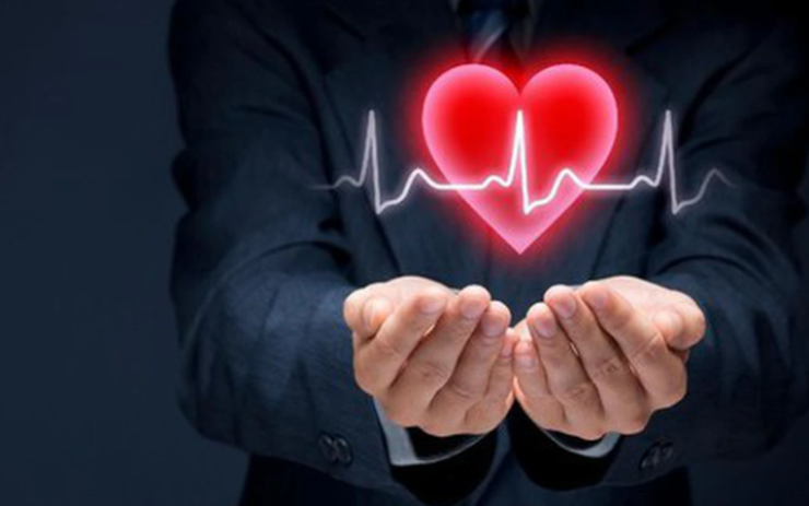 Trái tim quyết định tuổi thọ: Người trung niên nên ưu tiên 4 loại thực phẩm này để trẻ hóa mạch máu