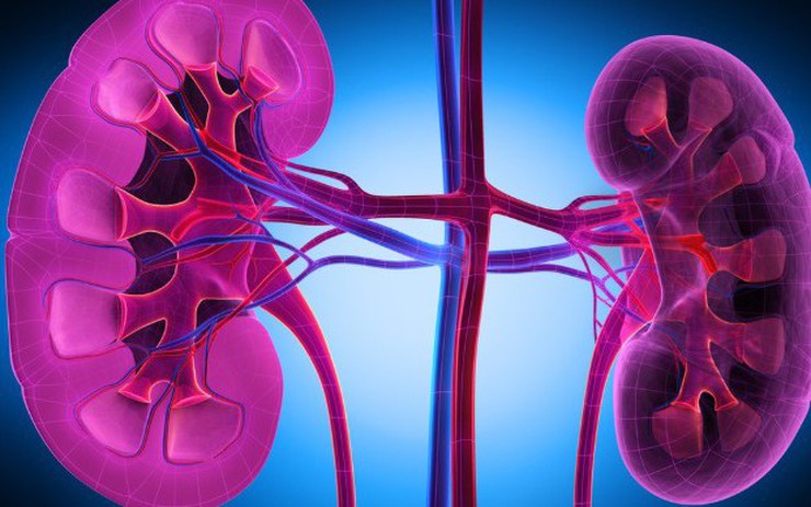 5 nhóm người có nguy cơ suy thận cao, người Việt cần biết để phòng tránh