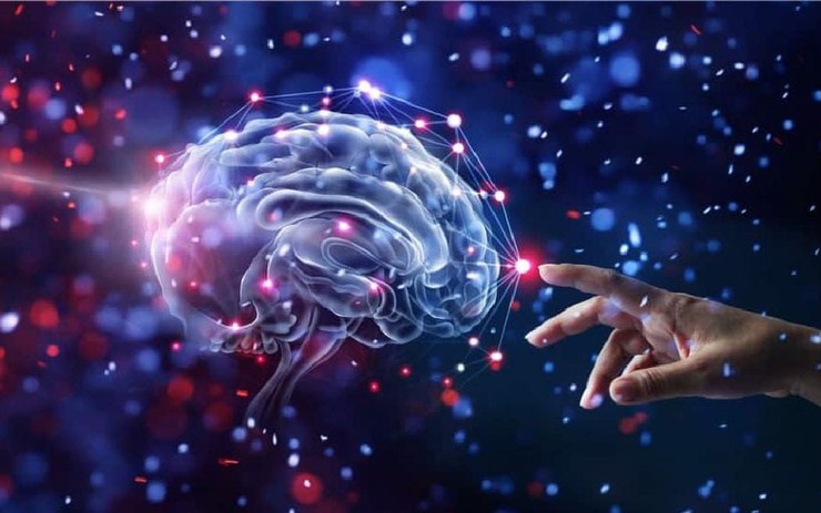 5 thực phẩm tốt cho não bộ: Hạt óc chó chỉ xếp thứ 5, vị trí số 1 khiến nhiều người bất ngờ