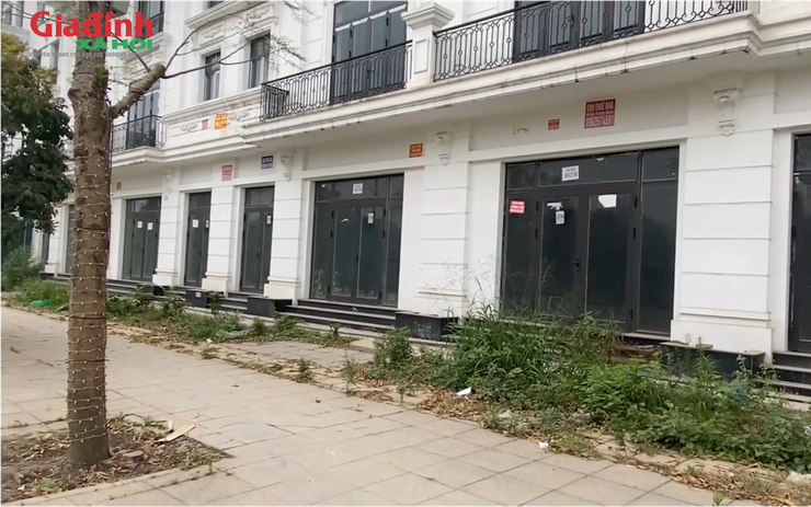 Hà Nội: Shophouse tại phường Kiến Hưng chạm ngưỡng 600 triệu đồng/m2