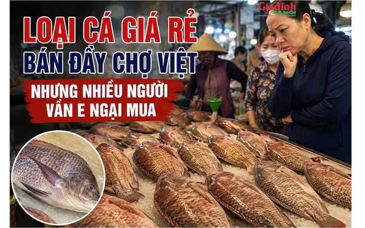 Loại cá giá rẻ bán đầy chợ Việt nhưng nhiều người vẫn e ngại mua