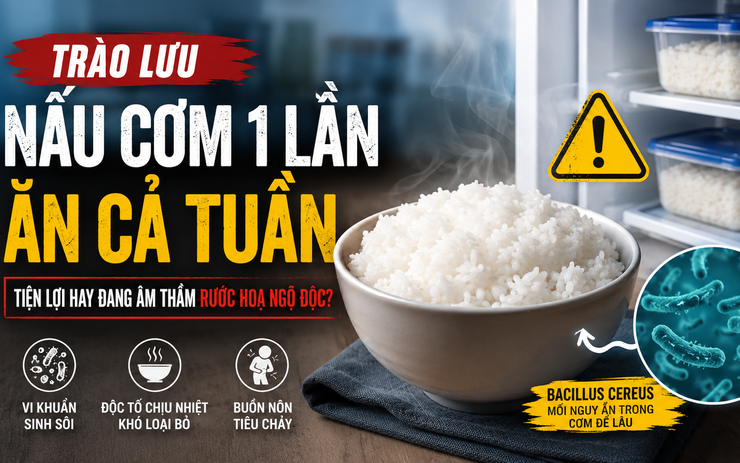 Thói quen nấu cơm để tủ lạnh ăn dần: Tiện lợi nhưng tiềm ẩn rủi ro ít ai ngờ