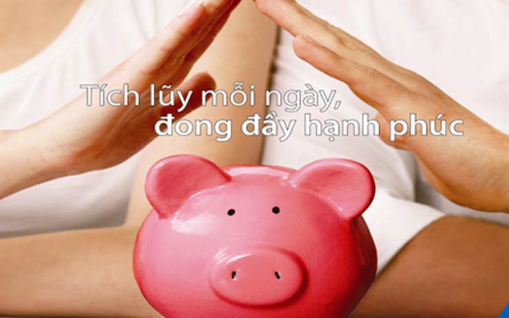 km-pet, km pet, nuôi mèo tiết kiệm, khử mùi chó mèo tiết kiệm, viifarm