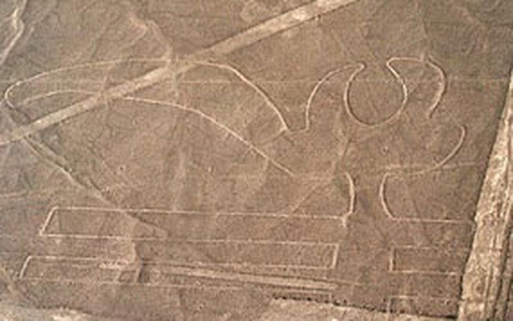 Phát hiện mới hơn 100 hình vẽ cổ đại tại đồng bằng Nazca ở Peru  BÁO SÀI  GÒN GIẢI PHÓNG