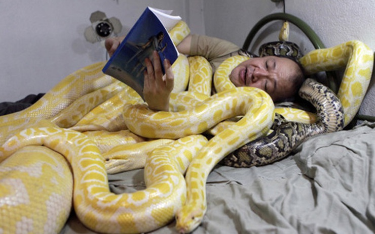 Ôm rắn ngủ để đón Tết