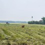 Ba người lái máy gặt lúa bất ngờ bị hành hung