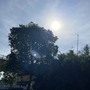 Người dân miền Bắc đón tin vui về thời tiết trước khi lại hứng đợt mưa lớn diện rộng