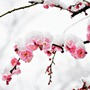 Số cuối ngày sinh Âm lịch của người tuổi trẻ phải trải qua nhiều sương gió