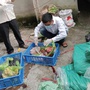 Hé lộ thủ đoạn mua lợn nhiễm dịch tả Châu Phi về mổ bán kiếm lời