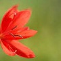 Tháng sinh Âm lịch của người có phúc lộc sâu dày, 10 người thì 9 người giàu có