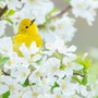 Ngày sinh Âm lịch của người ở hiền gặp lành, con cháu được hưởng phúc, gia đạo yên ấm