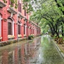 Bên trong ngôi trường trăm tuổi 3 năm liên tiếp có thí sinh lọt vào chung kết Đường lên đỉnh Olympia