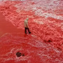 Sau trận mưa kỳ lạ, bãi biển bất ngờ nhuộm đỏ như máu, cơ quan lữ hành nói: Liên quan tới tên gọi nơi này