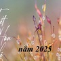Từ ngày 8/10 bước vào tiết khí Hàn Lộ 2025, bài trí phong thủy ngôi nhà làm ngay mẹo này để thu hút vận may