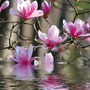 Ngày sinh Âm lịch của người sớm đạt tự do tài chính