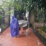 Nhập trạch gặp mưa có phải là điềm lành và những ngày nên tránh nhập trạch