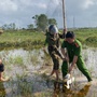 Hà Tĩnh ngăn chặn nạn bẫy bắt chim trời