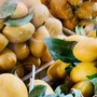 Loại quả được ví như thuốc bổ bán đầy chợ Việt giá chỉ vài chục nghìn đồng/kg