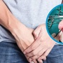 Con trai 8 tuổi nghịch dại, bố 51 tuổi đau đớn vì bị vỡ đôi tinh hoàn