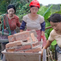 23 tuổi ly hôn làm mẹ đơn thân, 27 tuổi phá sản, gánh nợ 3 tỷ đồng: Hiện tại trở thành chủ tịch "nuôi sống" cả ngôi làng
