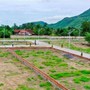 Đất tối thiểu bao nhiêu m2 thì được cấp sổ đỏ 2025 theo quy định mới nhất?