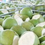Không phải sầu riêng, một báu vật triệu đô của Việt Nam đang lên cơn sốt giá trên toàn thế giới, Mỹ và Trung Quốc nhập khẩu hàng đầu